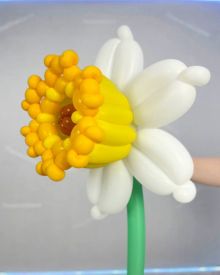 Нарциссы из шаров