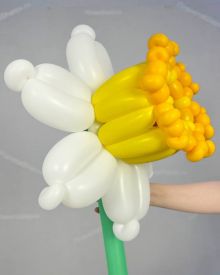 Нарциссы из шаров