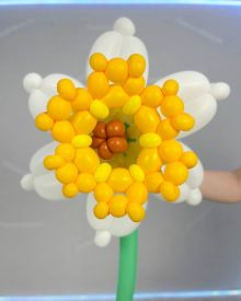 Нарциссы из шаров