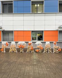 Буквы в роддом