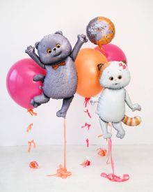 Воздушные шары кот басик