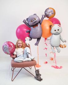 Воздушные шары кот басик