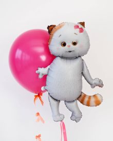 Воздушные шары кот басик