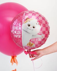 Воздушные шары кот басик