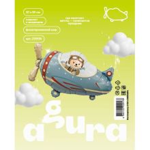  Самолет с медведем