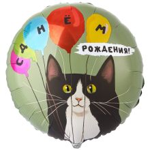 К 18" РУС ДР Кот и воздушные  шары