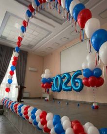 Шары к выборам