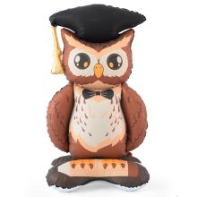  Сова Выпускник в шапочке