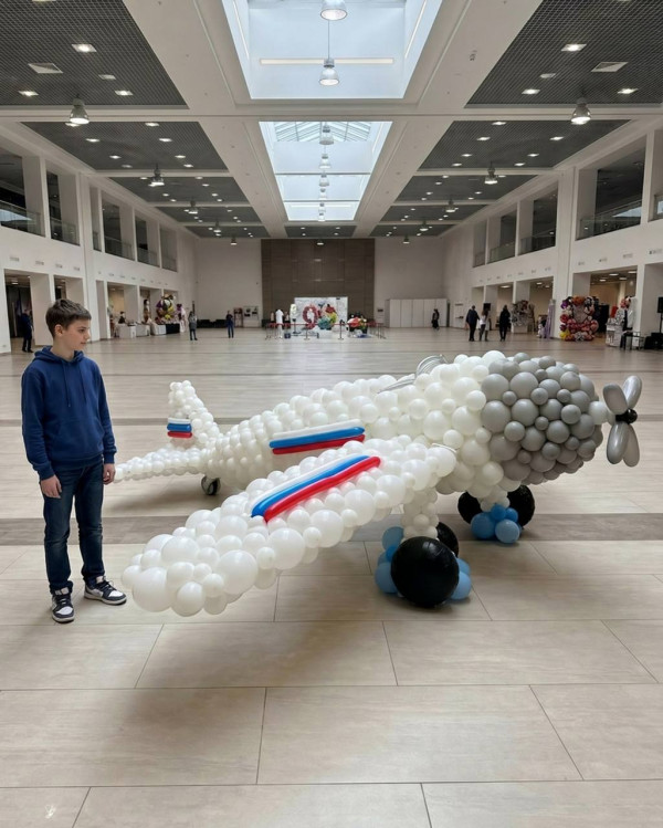 Самолёт из шаров