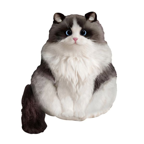  Кот пушистый