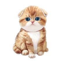  Кот рыжий с голубыми глазами